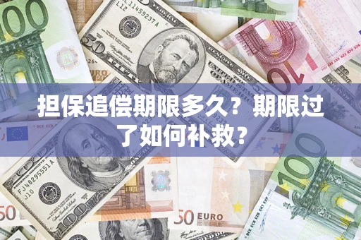 济南担保追偿期限多久？期限过了如何补救？