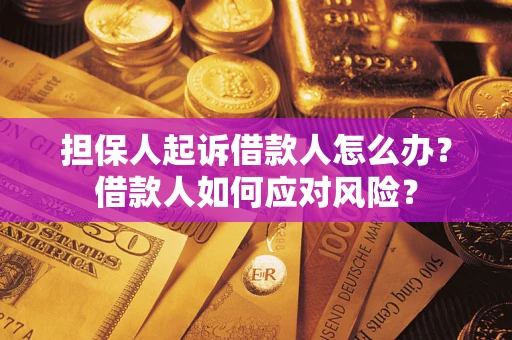 济南担保人起诉借款人怎么办？借款人如何应对风险？