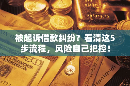 济南被起诉借款纠纷？看清这5步流程，风险自己把控！
