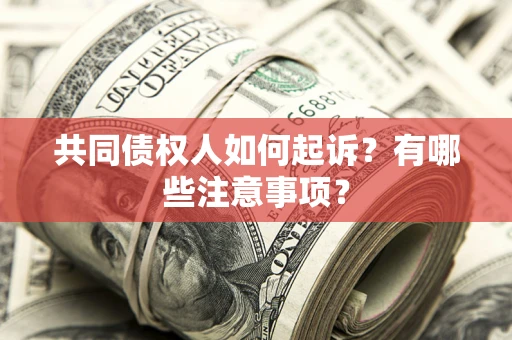 济南共同债权人如何起诉？有哪些注意事项？